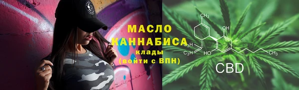 2c-b Бородино