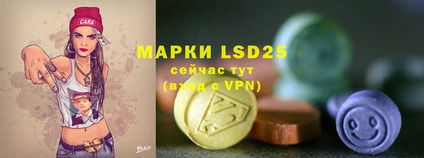 2c-b Бородино