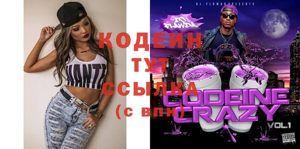 2c-b Бородино