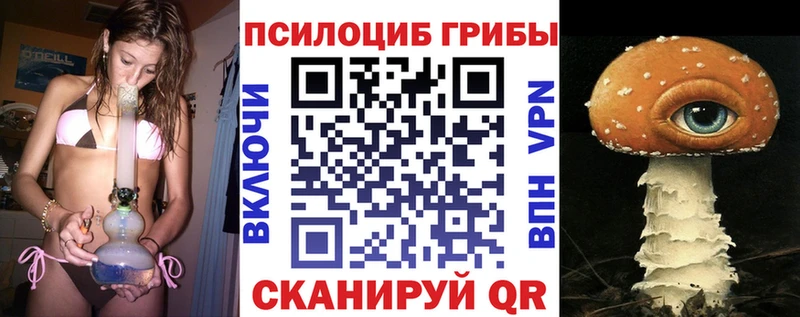 Псилоцибиновые грибы Psilocybine cubensis  hydra как зайти  Могоча 